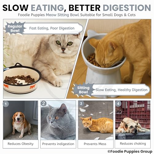 Foodie Puppies Pet Elevated Food