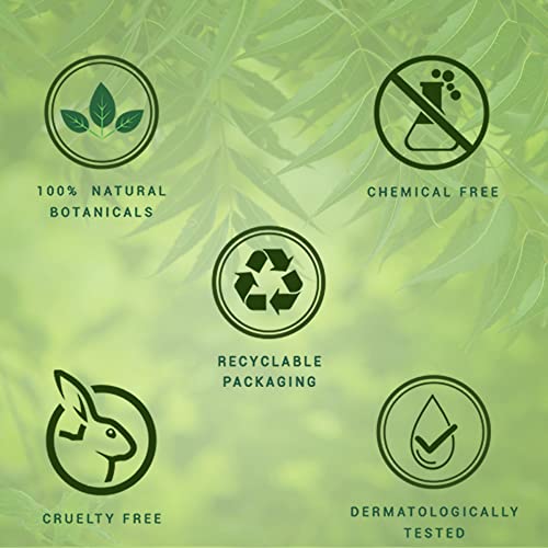 Biotique Fresh Neem Anti Dandruff