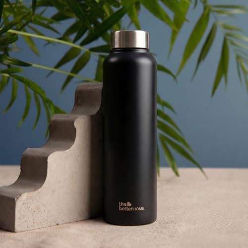 The Better Home 1000 Stainless