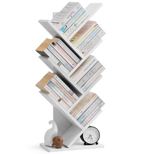 ABOUT SPACE Book Shelf