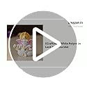 eCraftIndia White Resin Lord Ganesha