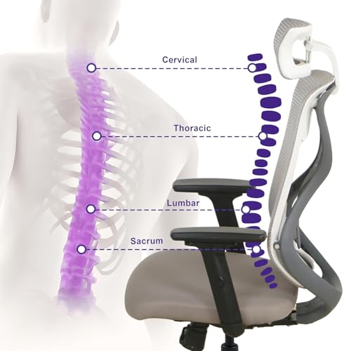 Wakefit Gravita Ergonomic Office Chair
