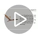 Omen Changing Lives 1200mm Falcon