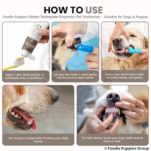Foodie Puppies Pet Toothpaste