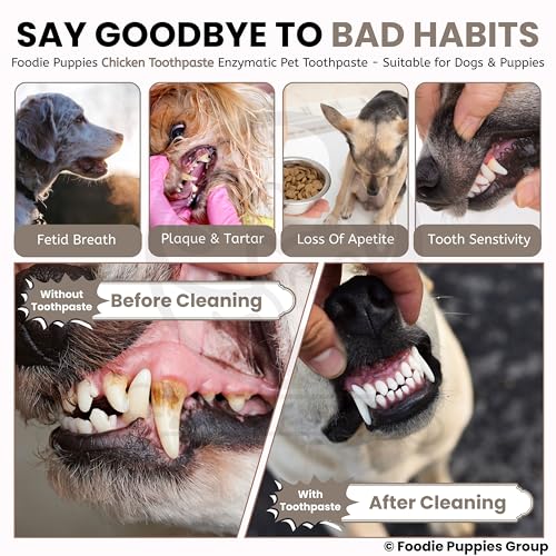 Foodie Puppies Pet Toothpaste