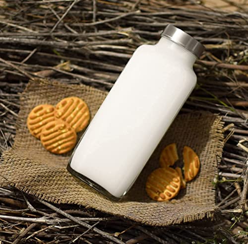 castanea Glass Water Bottle