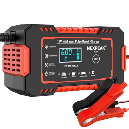 NEXPEAK Car Battery Charger, 6A