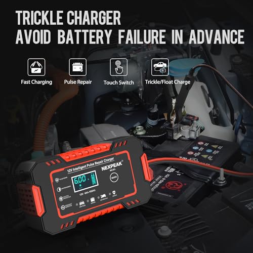 NEXPEAK Car Battery Charger, 6A