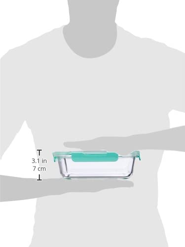 Amazon Brand - Solimo Glass