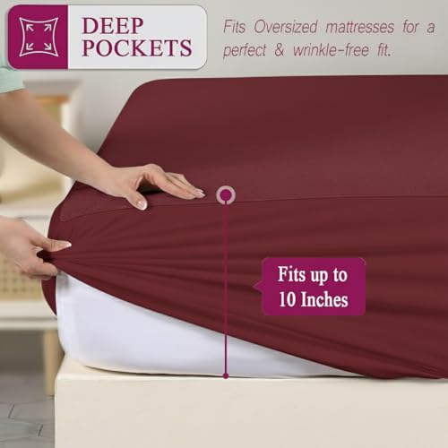 Trance Cotton Feel Terry Ultra