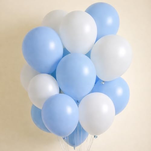 Regular Balloon Combo For Decoration