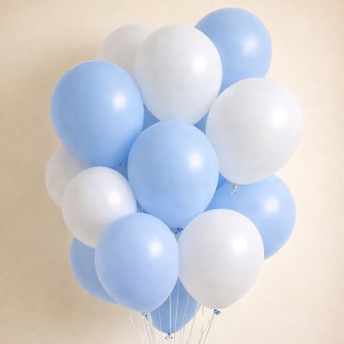 Regular Balloon Combo For Decoration