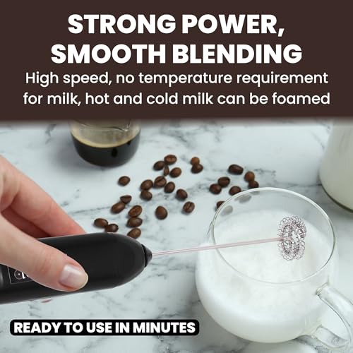 Desi BAE Frother Electric
