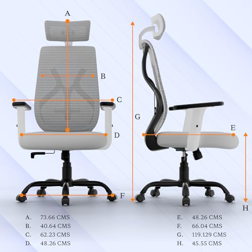 Titan Ergonomic Office Chair