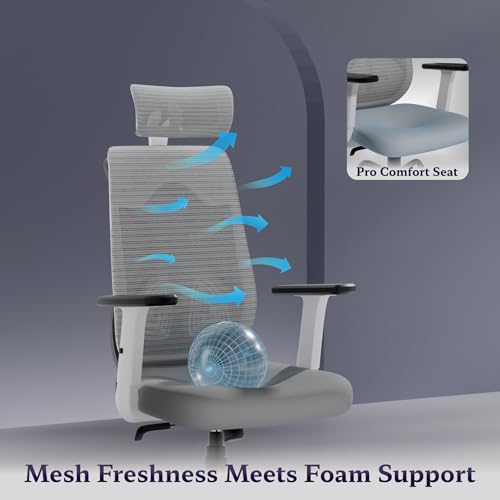 Titan Ergonomic Office Chair