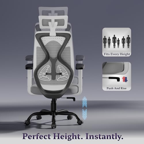 Titan Ergonomic Office Chair