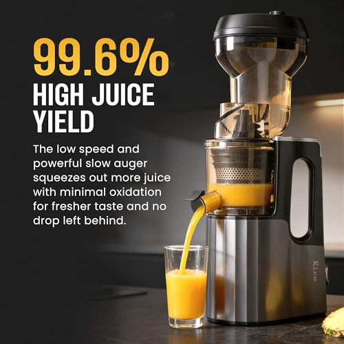 Rico Cold Press Slow Juicer