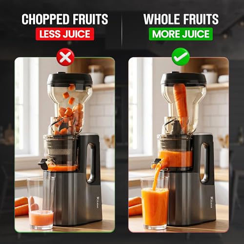 Rico Cold Press Slow Juicer