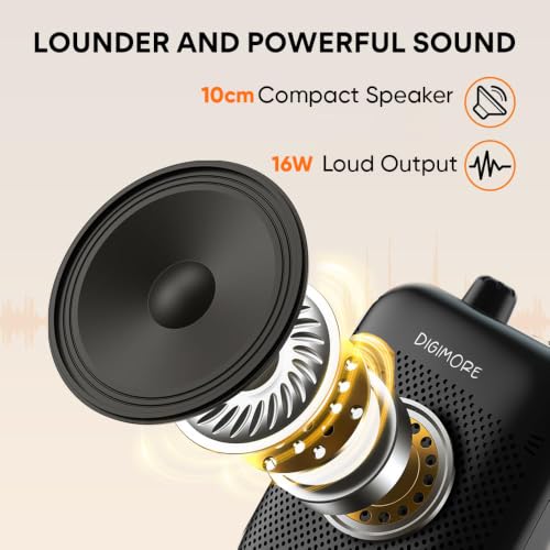 DIGIMORE 10W Voice Amplifier