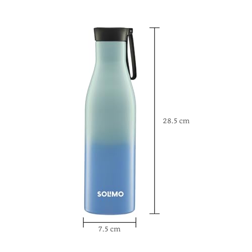 Amazon Brand - Solimo 850ml