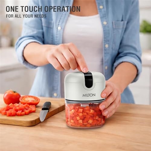 MILTON 6-in-1 Rechargeable Mini Electric