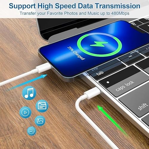 iPhone Compatible 20W Fast Charger