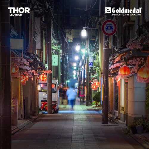 Goldmedal Thor 30W B22 Base