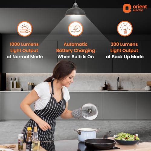 Orient Electric 12W Rechargeable Emergency