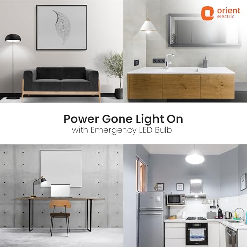 Orient Electric 12W Rechargeable Emergency