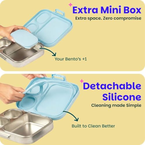 Basil Bento Box Quad Plus