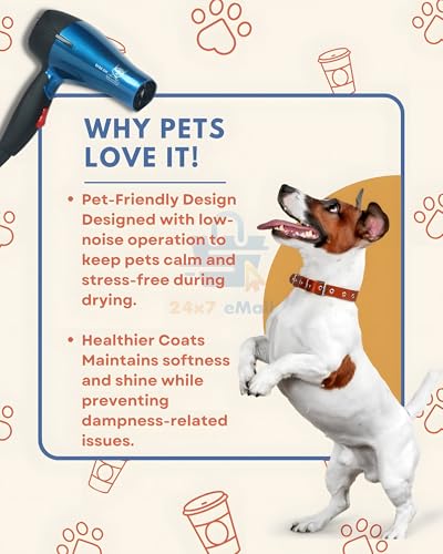 Foldable Pet Grooming Hair Dryer
