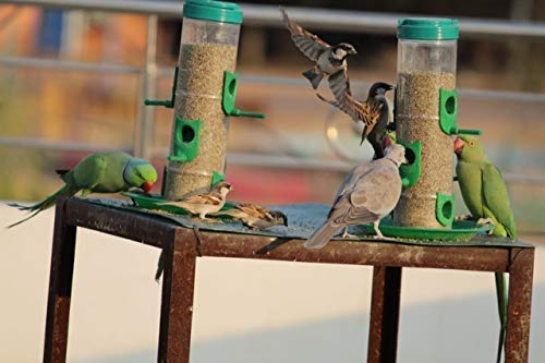 Amijivdaya Large Bird Feeder with Holding Handle (Pack of 1) - Image 4