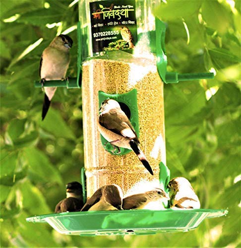 Amijivdaya Large Bird Feeder with Holding Handle (Pack of 1) - Image 5
