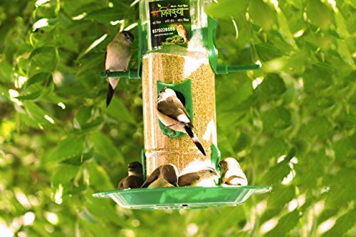 Amijivdaya Large Bird Feeder with Holding Handle (Pack of 1) - Image 7