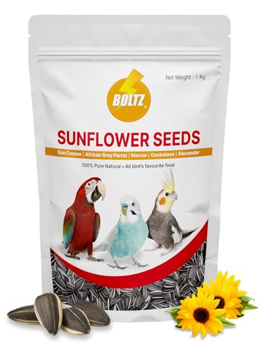 BOLTZ Striped Premium Sunflower Seeds