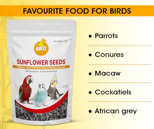 BOLTZ Striped Premium Sunflower Seeds
