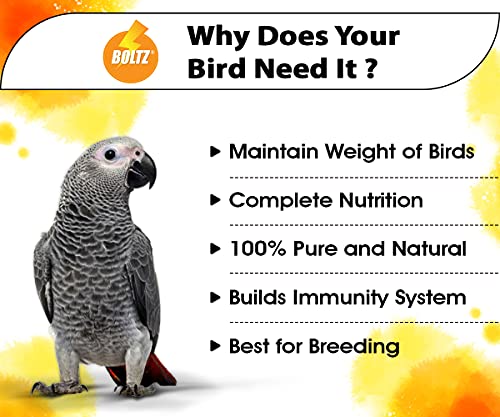 BOLTZ Food for Big Parrot