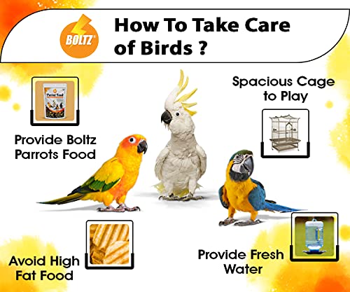 BOLTZ Food for Big Parrot