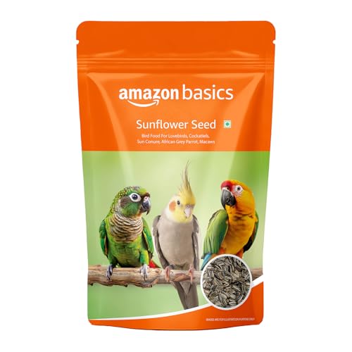 Amazon Basics Sunflower Seeds Bird