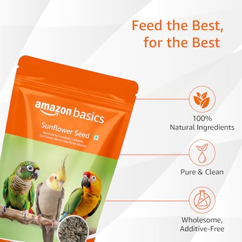 Amazon Basics Sunflower Seeds Bird