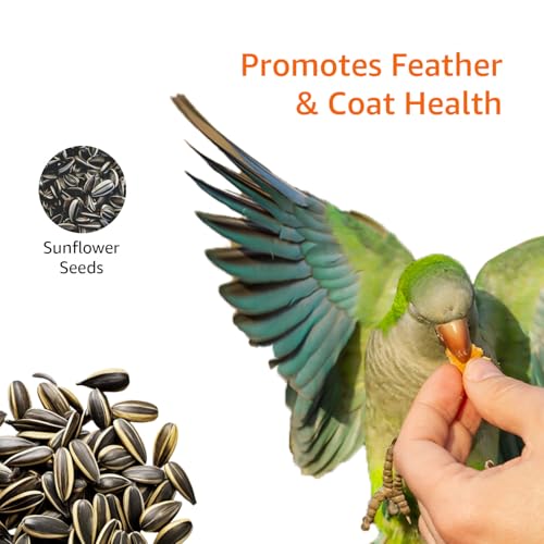 Amazon Basics Sunflower Seeds Bird