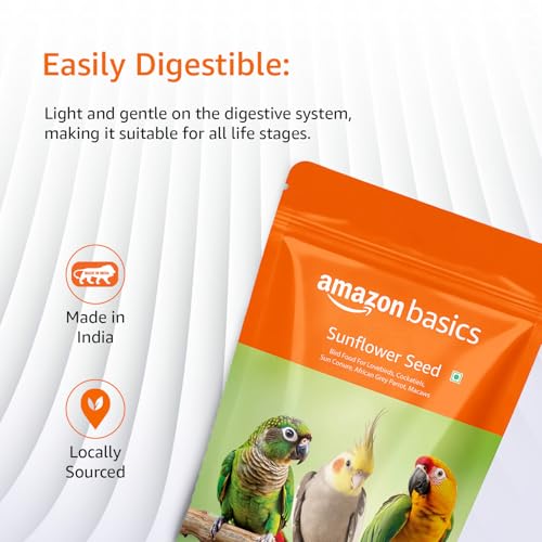 Amazon Basics Sunflower Seeds Bird