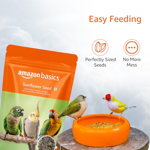 Amazon Basics Sunflower Seeds Bird