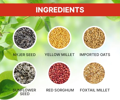 Boltz Adult Bird Food