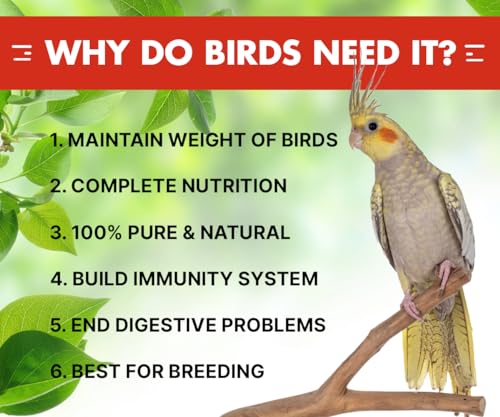 Boltz Adult Bird Food
