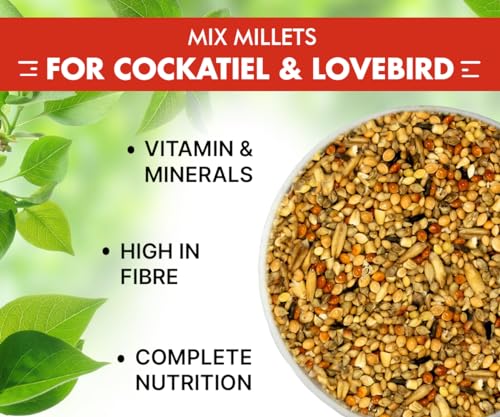 Boltz Adult Bird Food