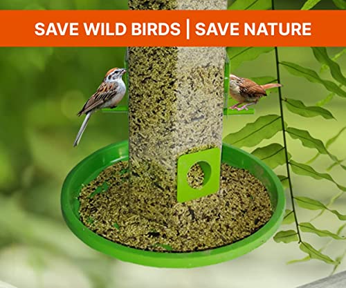 Hanging Bird Feeder for Balcony
