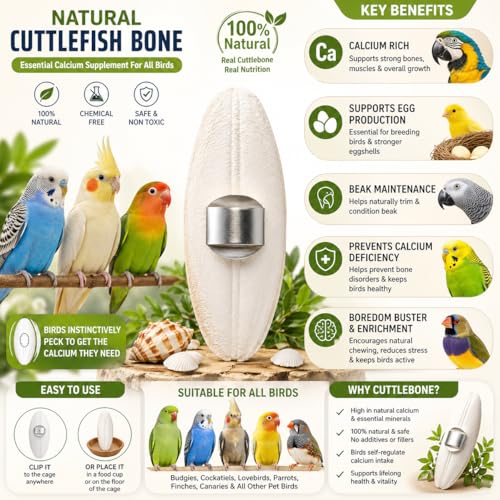 The Pets Company Natural Cuttlefish
