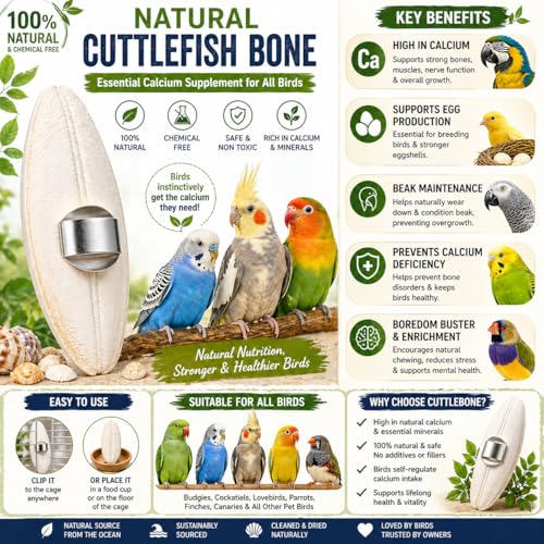 The Pets Company Natural Cuttlefish