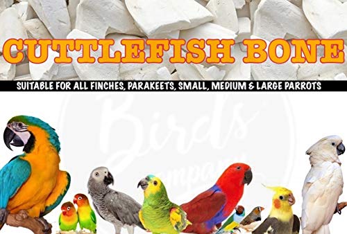 The Pets Company Natural Cuttlefish